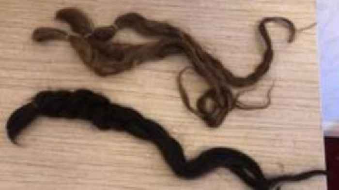 Family hair-loom: Ancestors' lost locks rediscovered