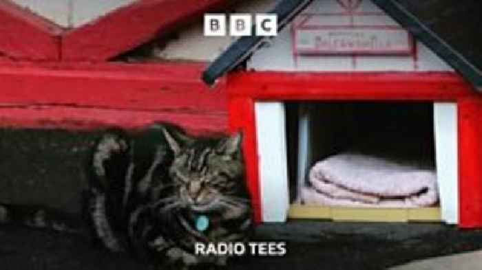 Saltburn's coastal cat to be immortalised