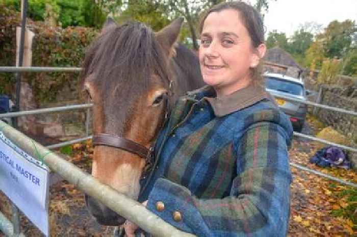 Historic Bampton Fair returns with more stalls and dinosaur guests