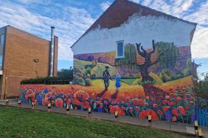 Grimsby memorial mural artwork is transforming a graffiti-riddled wall