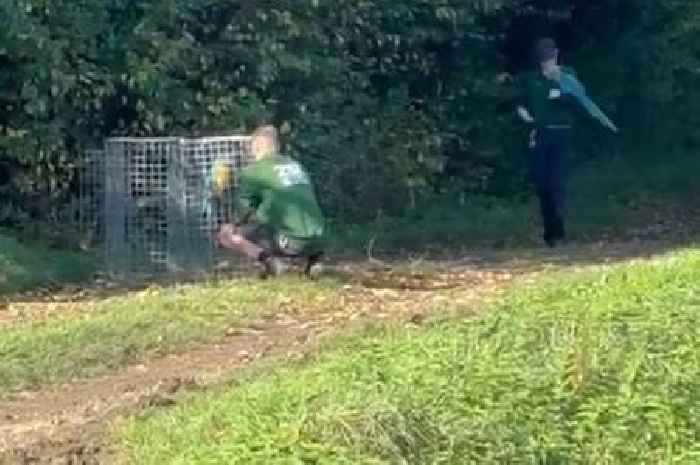 Parrots that escaped from London Zoo found 60 miles away in Cambridgeshire village