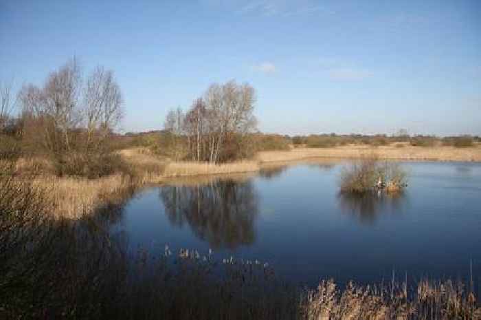 The spectacular Cambridgeshire nature reserve named one of the best in the UK