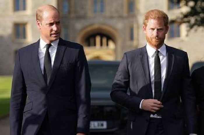 Prince William utters Harry's name in public for first time in 6 years in step towards mending rift