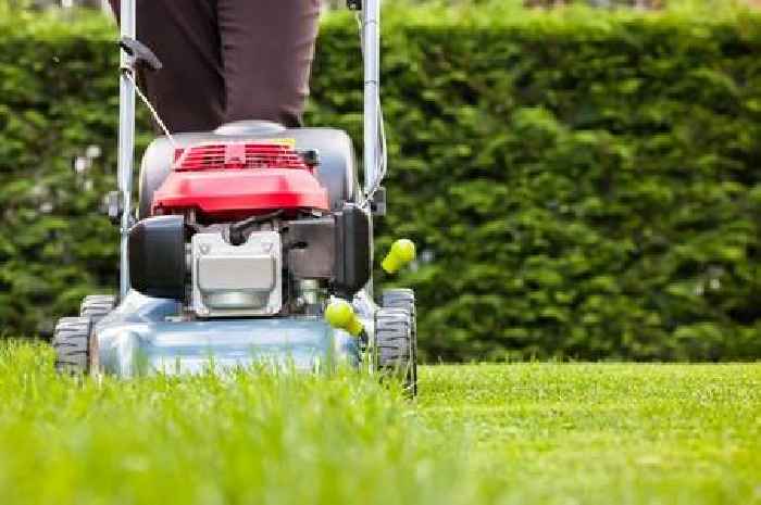 Warning issued to gardeners about when to stop mowing their lawns or risk damage