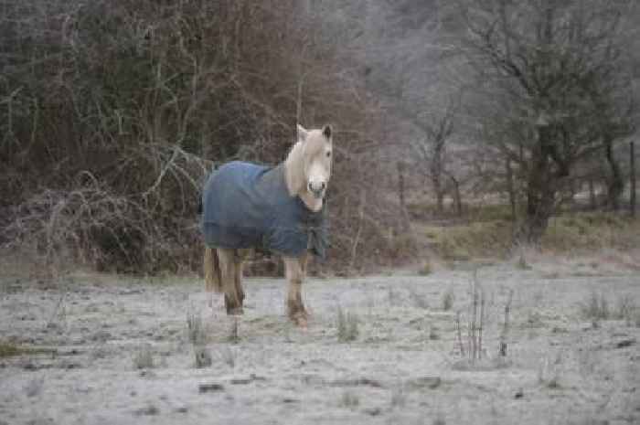 UK warned 'prepare for snow' with flurries set to fall within days