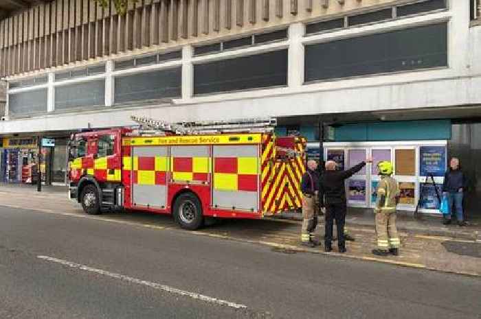 Firefighters rescue missing cat that had been living on shopping centre roof