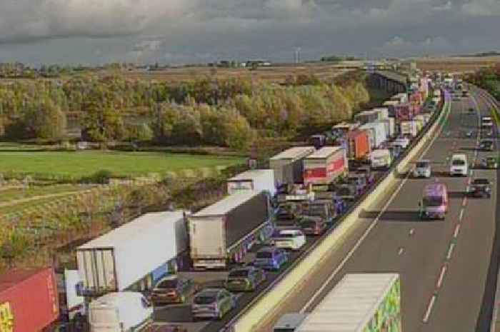 Delays on major Cambridgeshire A-road after animals get onto carriageway