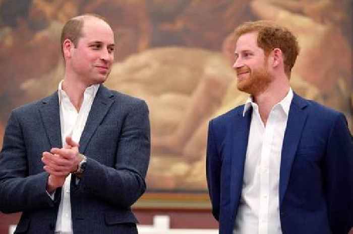 Prince William and Prince Harry on 'road to healing' say fans after historic olive branch