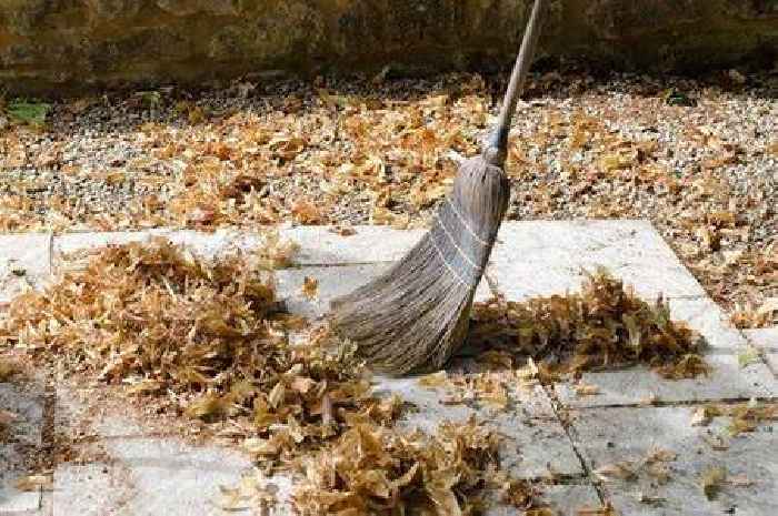 Neglecting one patio cleaning task in autumn can promote mould and algae, warns expert