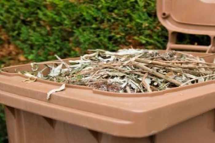 East Renfrewshire brown bin collections cuts as £350,000 to be saved