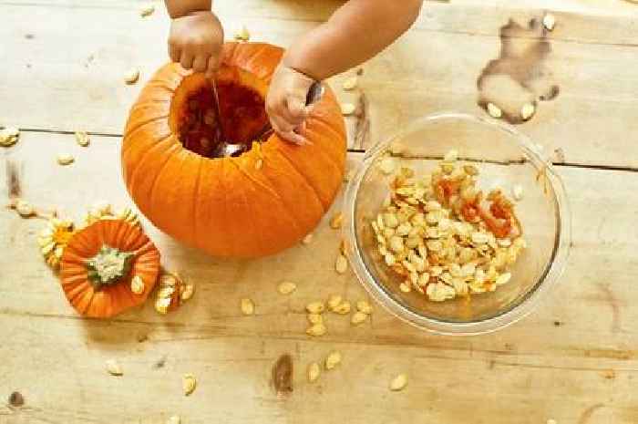 Parents urged to feed pumpkin leftovers to babies as expert reveals amazing health benefits