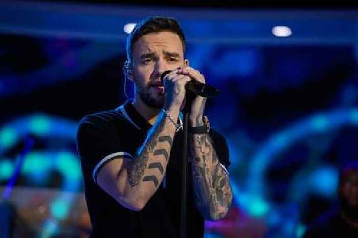 Liam Payne's friend hits out after being accused of 'profiting' from his death