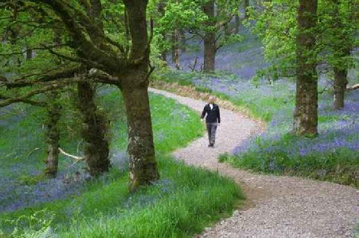 Eco groups say Scotland's green budgets must be protected and restored