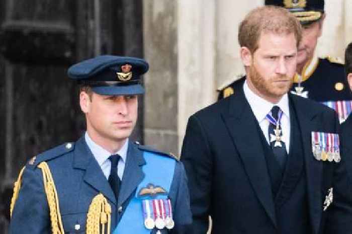 Harry warned he needs to do one thing to fix relationship with William - but he's not going to like it