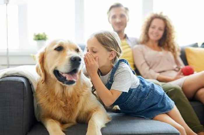 Nearly half of pet owners believe in a special bond with their pets, talking to them regularly