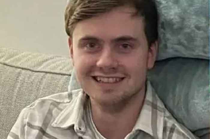 Specialist search dogs used in hunt for missing student Jack O'Sullivan