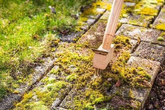 Monty Don's 'best way' to remove moss and algae as weather turns damp and grey