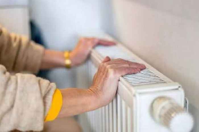 British Gas, OVO, EDF, EON, Octopus customers urged to clean radiators for free £225