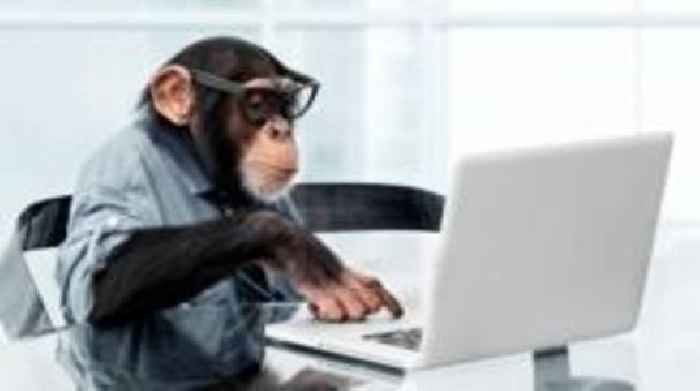 Monkeys will never type Shakespeare, study finds