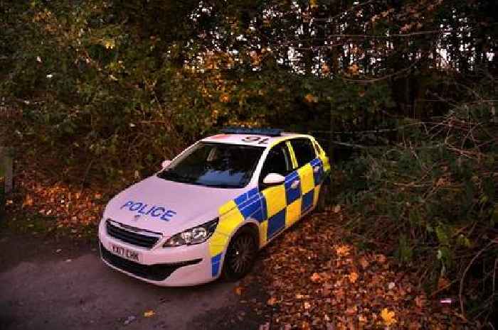 Girl, 13, ‘critical but stable’ after stabbing near dual carriageway