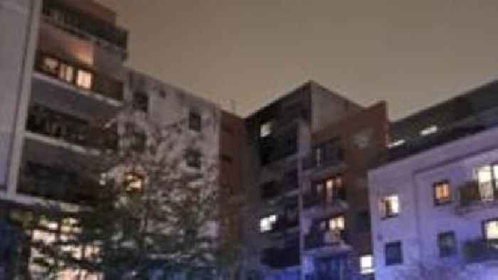 Two cats die in fire at block of flats