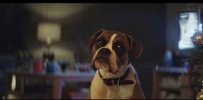 Have your say! Which company does the best Christmas adverts?