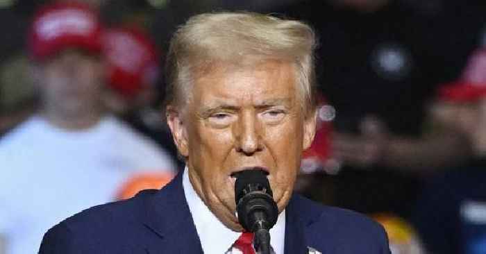 Stressed? Donald Trump Begs His Supporters to 'STAY IN LINE' at Packed Polls Amid Historically Tight Race Against Kamala Harris