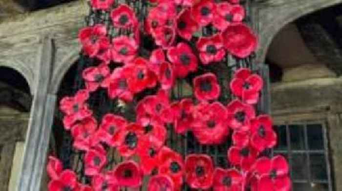 Hundreds of poppies on display at historic site