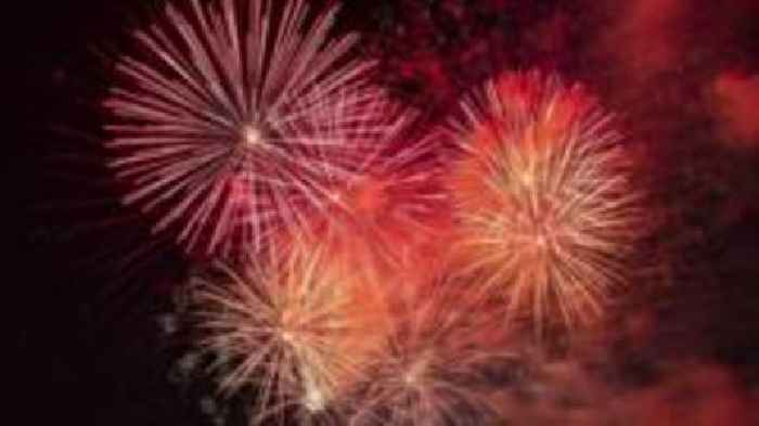 Fireworks map shows risk to 4000 Surrey pets