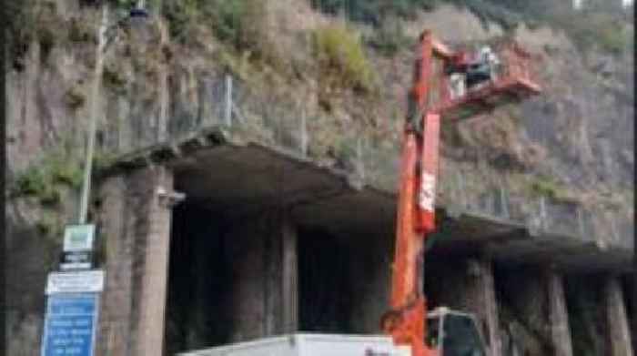 Asian hornet nest removed from cliff face