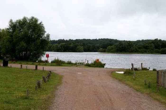 Swan killed by high-speed model boat in 'tragic accident' during Nottinghamshire lake race