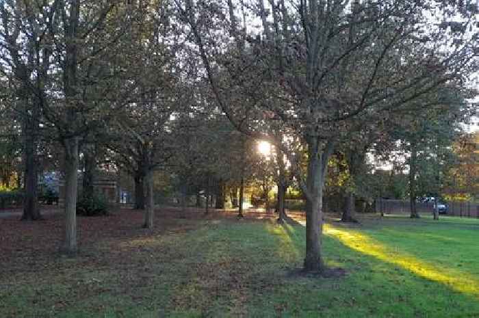 Plan to plant 750,000 new trees across Lincolnshire over the next 10 years