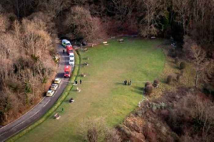 Call for action after dog walker mauled to death in Surrey park