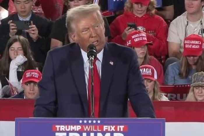 People convinced Donald Trump election campaign won't work after spotting detail at rally