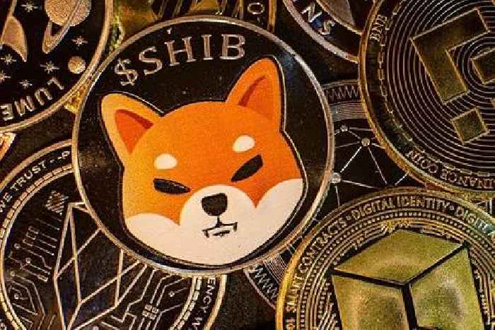 Shiba Inu’s big bet: $2.35 billion Blockchain Hub sends SHIB price higher