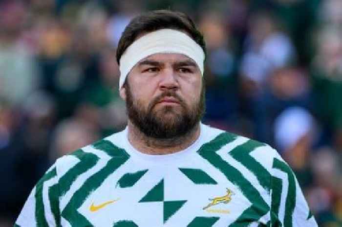 News24 | Glimpse at Bok succession plan in Malherbe's absence: 'You don't get this type of tighthead'