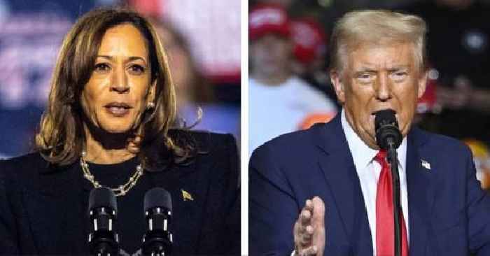 Kamala Harris Privately 'Congratulates' Donald Trump as She Concedes 2024 Presidential Election