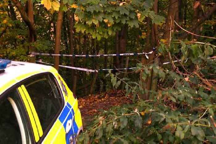 Boy, 14, appears at crown court accused of attempted murder after girl found stabbed near A63