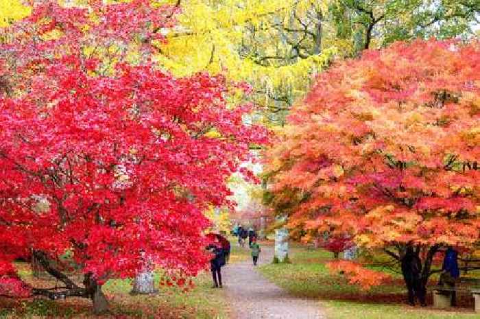 BBC Countryfile to visit incredible Gloucestershire location that bursts into 'mosaic of colour' in autumn