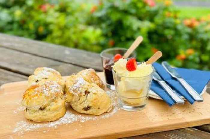 Café serving 'proper' Cornish cream teas wins national award