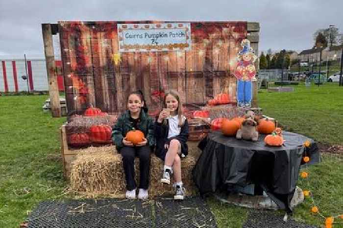 Pupils get the chance to pick a pumpkin on their own patch at Cambuslang school