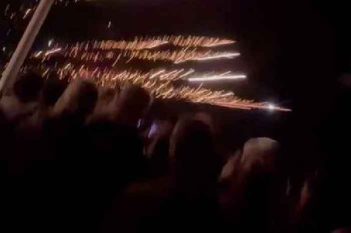 Children cry and scream as fireworks shoot into crowd as bonfire night display 'malfunctioned'