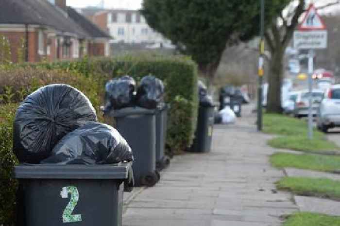 Major changes to black bin waste as three-weekly collections proposed