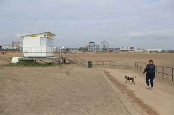 Lincolnshire coast dog ban renewed to protect Blue Flag beaches