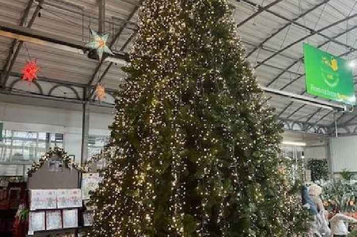 Photos show inside Meadow Croft Garden Centre Christmas market with amazing food, stunning decorations and gifts galore