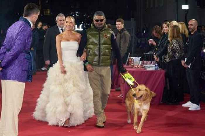 Guide dog attends red carpet events and West End theatre shows in surprise appearances