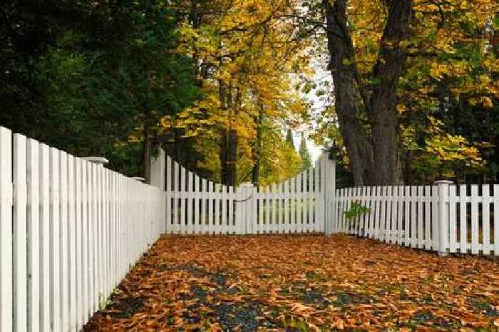 What law says about neighbour's leaves in your garden, and who clears up