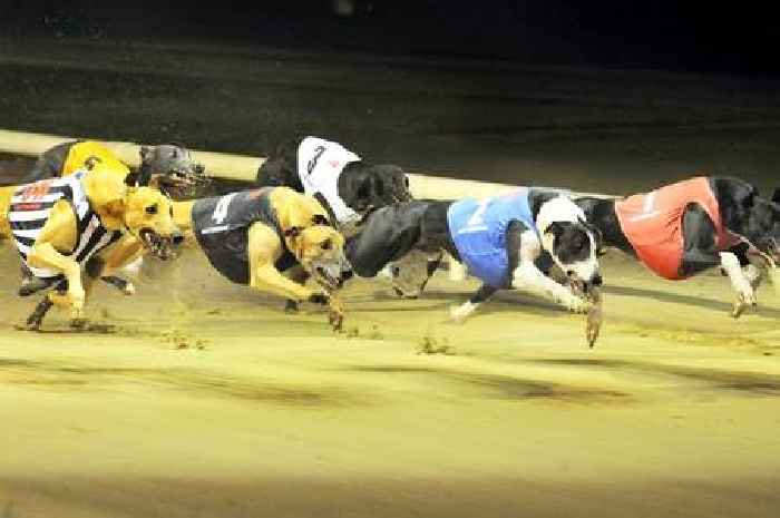 Free Greyhound racing tickets to give away with Arena Racing Company