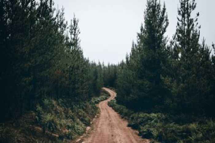 The ESG Imperative: Why finance leaders must move beyond tradition 