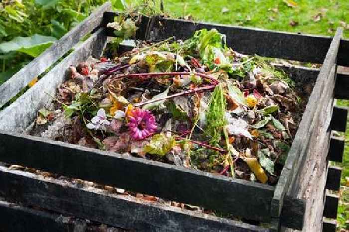 Derbyshire councillors fear foxes and badgers will run off with or knock over planned new food waste bins